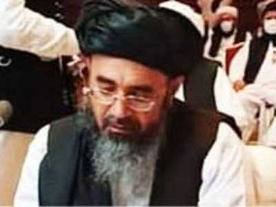 عبدالحکیم حقانی